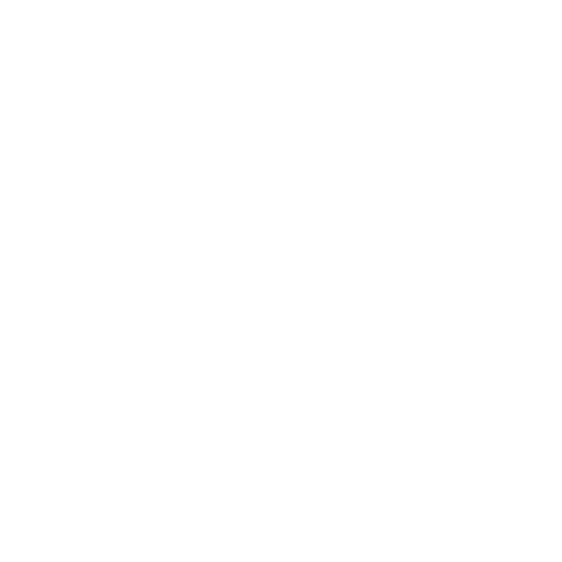Officer Chief Financial Officer
