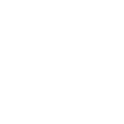Chief Information & Technology Officer