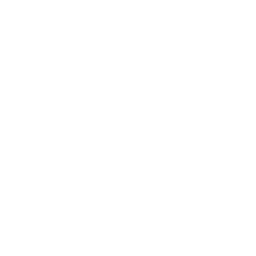 Chief Operating Officer