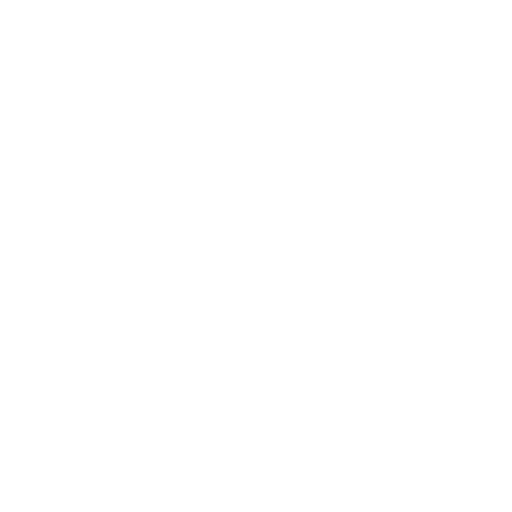 Chief Compliance Officer